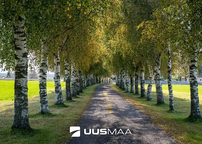 Tranquility With Luxury 马尔杜